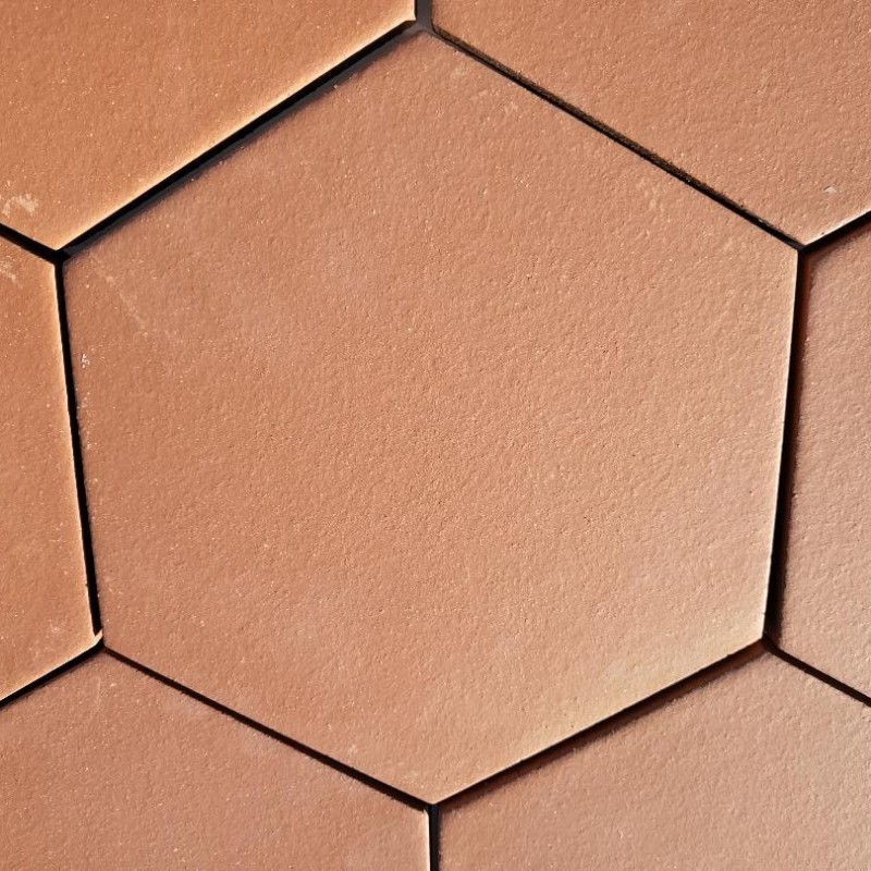 Echantillon - echantillon véritable tomette hexagonale en terre cuite 20x20 cm
