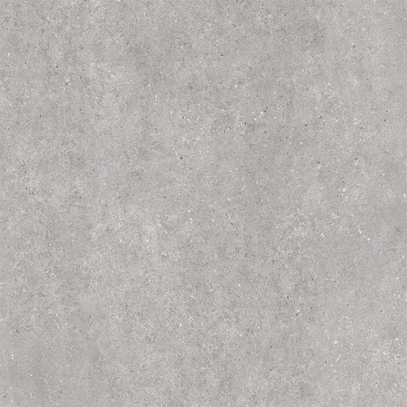 Echantillon - echantillon DALLE SUR PLOTS DORSET PLATA 120x120 cm