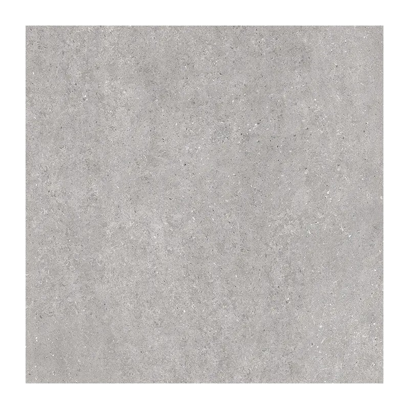 Echantillon - echantillon DALLE SUR PLOTS DORSET PLATA 120x120 cm