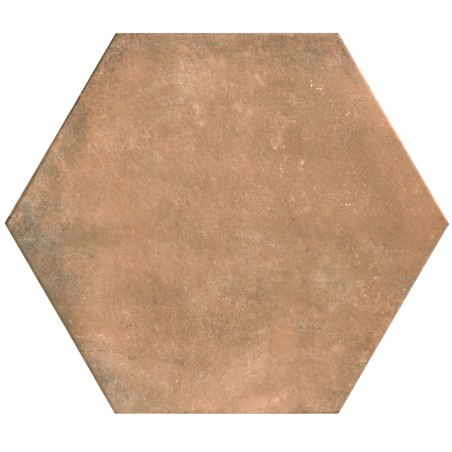 Echantillon - Echantillon Carrelage Hexagonal 56x48,5cm PARMA TERRA