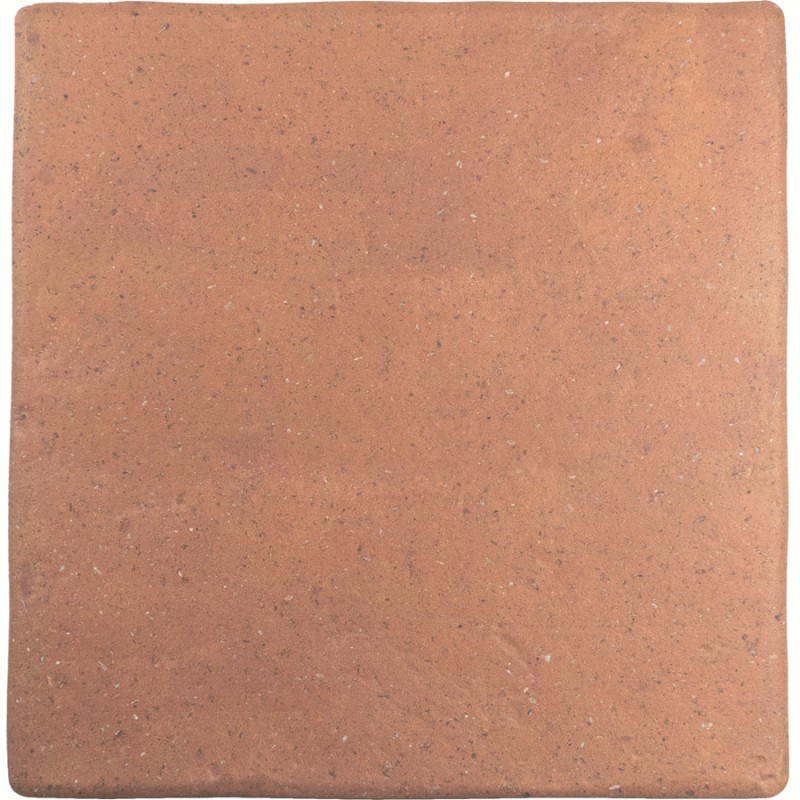Terre cuite - carrelage effet terre cuite 22x22 cm ROOTS COTTO