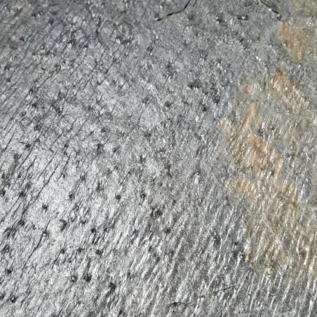 Déstockage - lot de 16.20 M² de Pierre naturelle SILVER DREAM 15x60cm finition polie