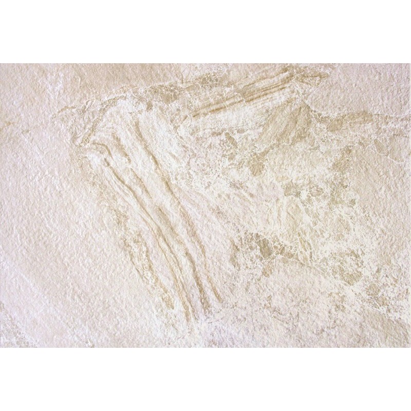 Effet pierre - carrelage PERUGIA BEIGE 45x65 cm imitation pierre