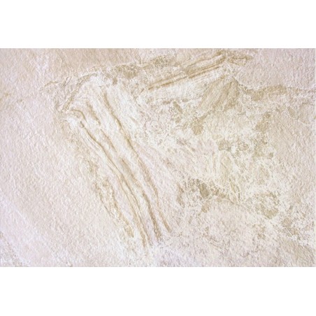 Carrelage terrasse - echantillon carrelage PERUGIA BEIGE 45x65 cm imitation pierre