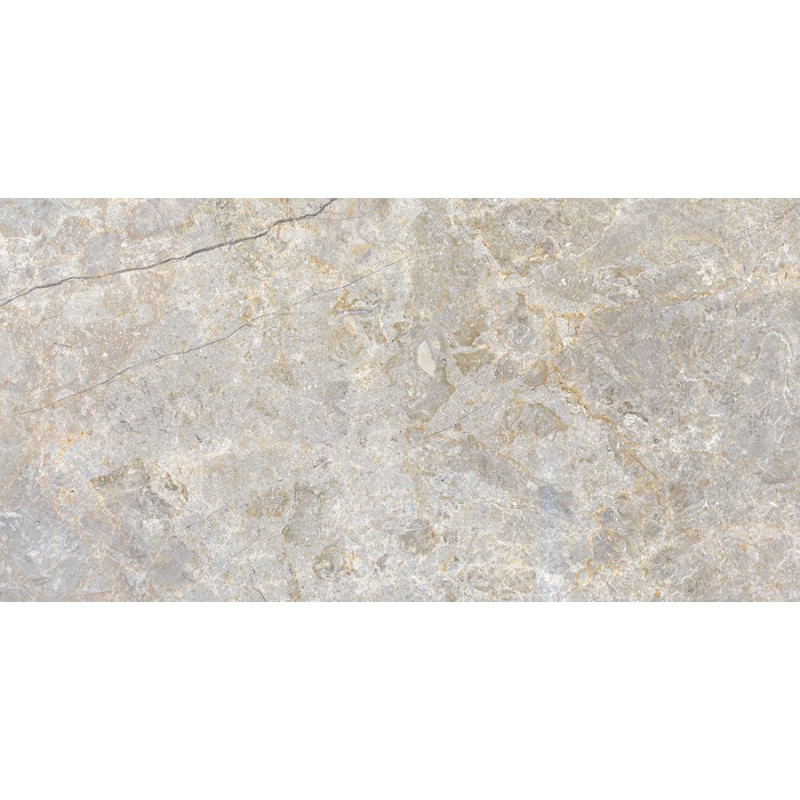 Carrelage terrasse - Carrelage CAROLINA SILVER 60x120cm effet pierre antidérapant