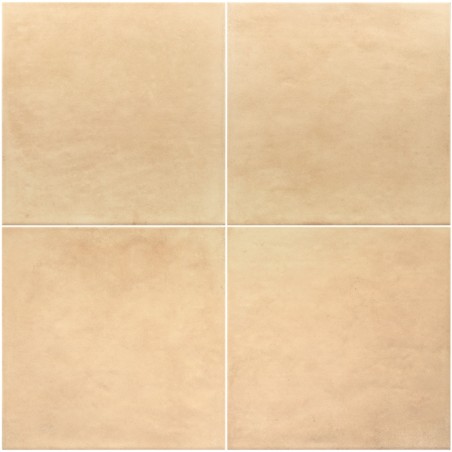 Echantillon - Echantillon carrelage effet terre cuite 20x20cm MIRA NATURAL