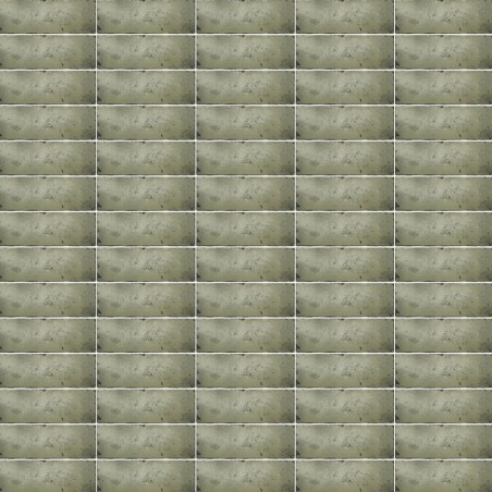 carrelage ZONIA MOSS 6,5x20...