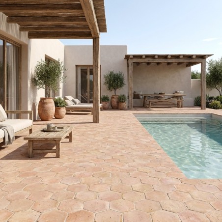 Véritable tomette en terre...