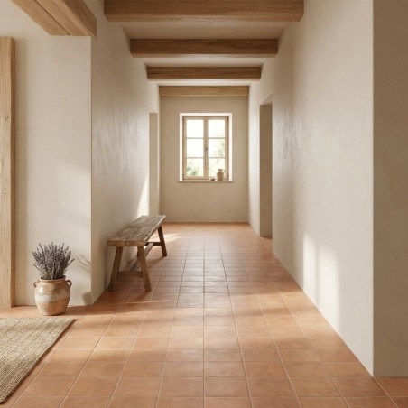 Carrelage MIRA COTTO 20x20...