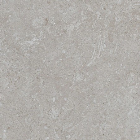 Carrelage extérieur grand...