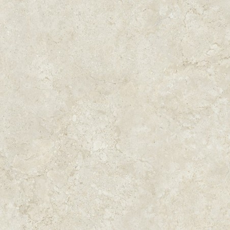 carrelage intérieur grand...