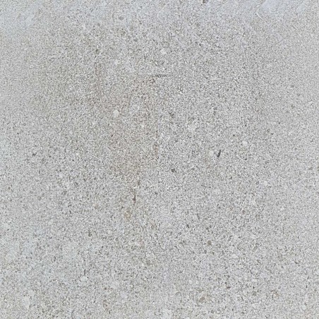 DALLE SUR PLOTS BLOIS BEIGE...