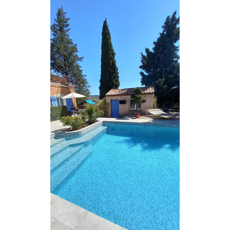 Piscine - Emaux de Verre Onix Majestic Grey