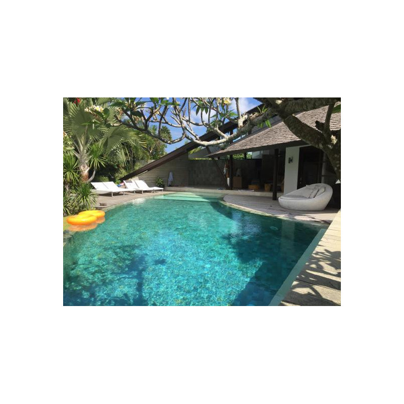 Piscine - Pierre de Bali "GREEN SUKABUMI" 20 x 20 cm