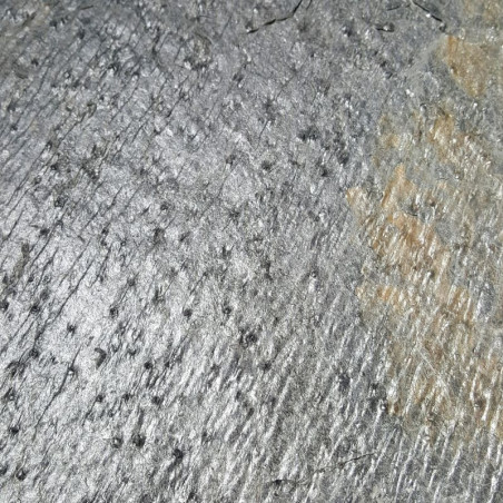 Echantillon - Echantillon Pierre naturelle SILVER DREAM 30x60cm finition polie