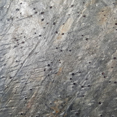 Echantillon - Echantillon Pierre naturelle SILVER DREAM 15x60cm finition polie