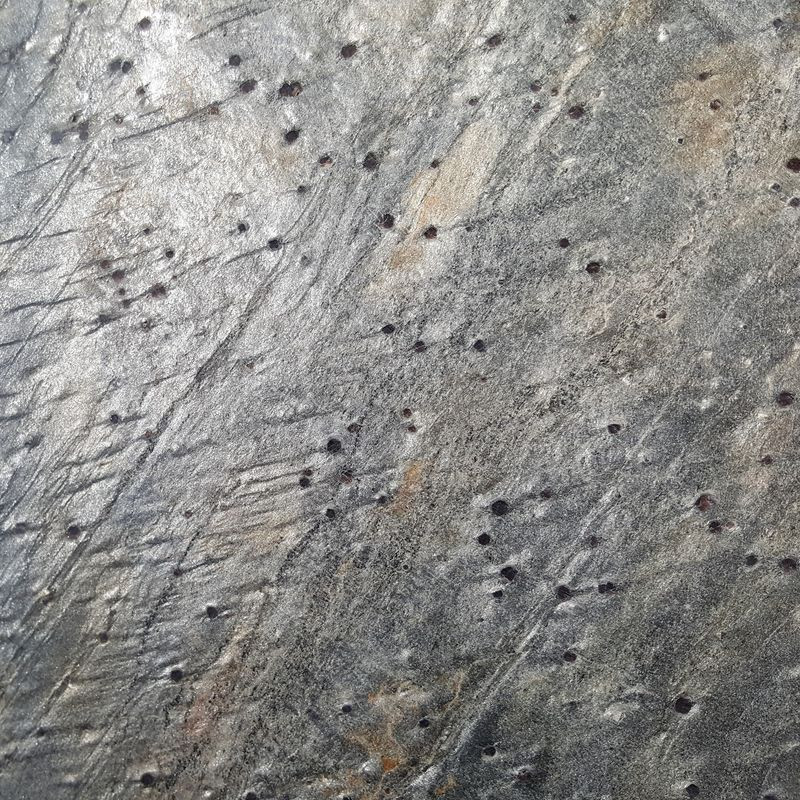 Echantillon - Echantillon Pierre naturelle SILVER DREAM 15x60cm finition polie