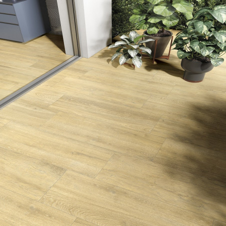 Echantillon - Echantillon Carrelage 20 x 90 cm imitation bois GOLD antidérapant R11