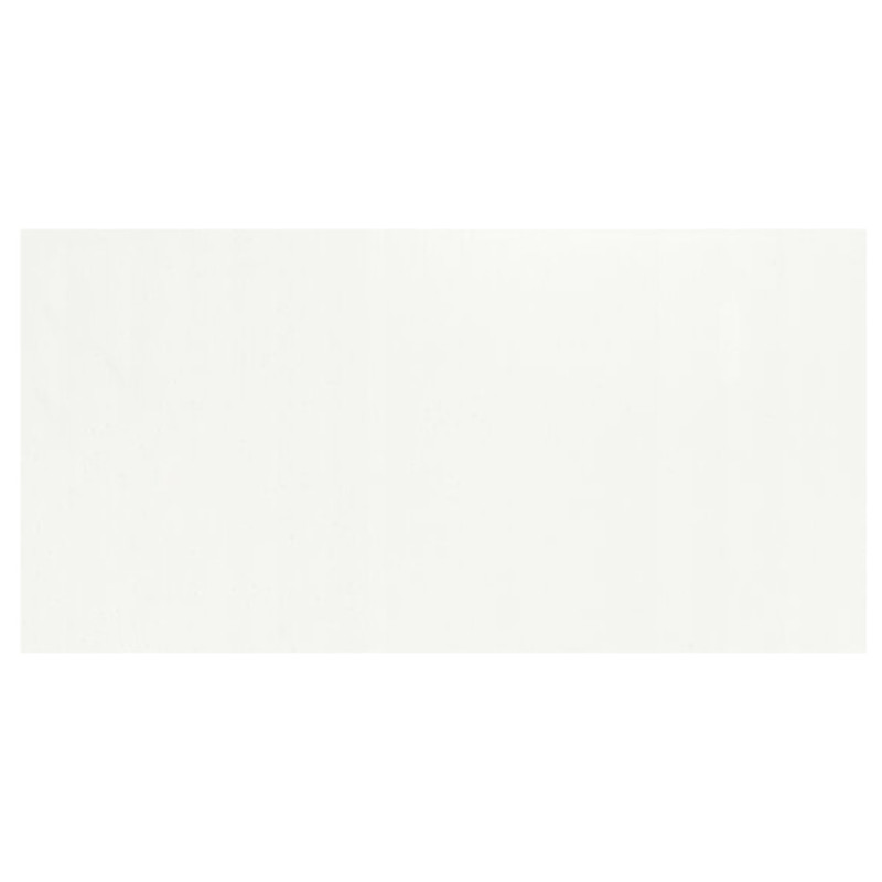 Echantillon - echantillon carrelage all white 30x60 rectifié effet mat