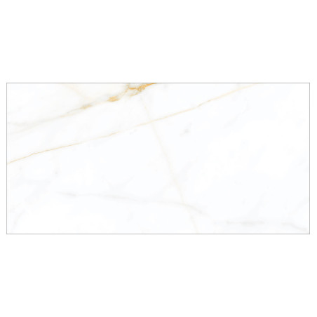 Echantillon - echantillon carrelage stacal 60x120 cm effet marbre finition satinée