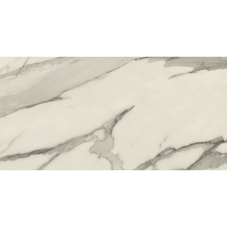 Echantillon - echantillon carrelage statuary venato 60x120 cm effet marbre poli