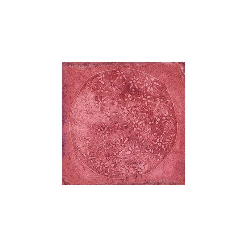 Zellige - carrelage effet zellige 20x20 cm carlo granate