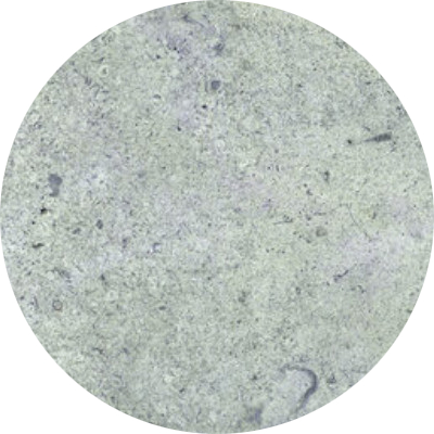 Carrelage HIJAU GREEN 30x60 cm